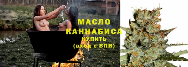 дживик Тында