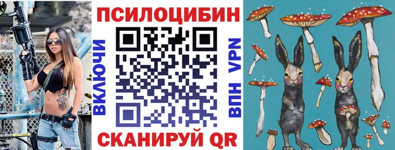 Псилоцибиновые грибы Psilocybine cubensis Севск